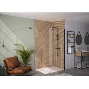 Paroi Solo 6+ verre 6mm transparent 60 cm H200 cm noir mat - KINEDO PA2411NTNE 