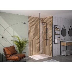 Paroi Solo 6+ verre 6mm transparent 100 cm H200 cm noir mat Mât - KINEDO PA2415NTNEM 