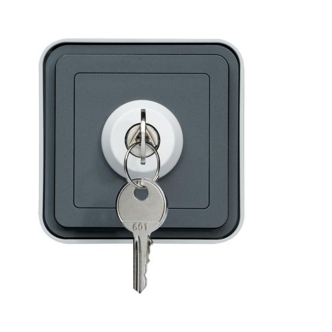 cubyko Inter à clé 3 pos. gris HAGER WNC036