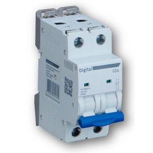 Interrupteur sectionneur 2x100A - Digital electric 04158 