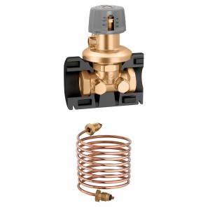 Régulateur de pression différentielle 2" 50-300 mbar - THERMADOR 140392 