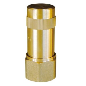 Anti-bélier à ressort femelle 1"1/2 en laiton certifié ACS prégonflé 3,5 bar - THERMADOR ABR40 
