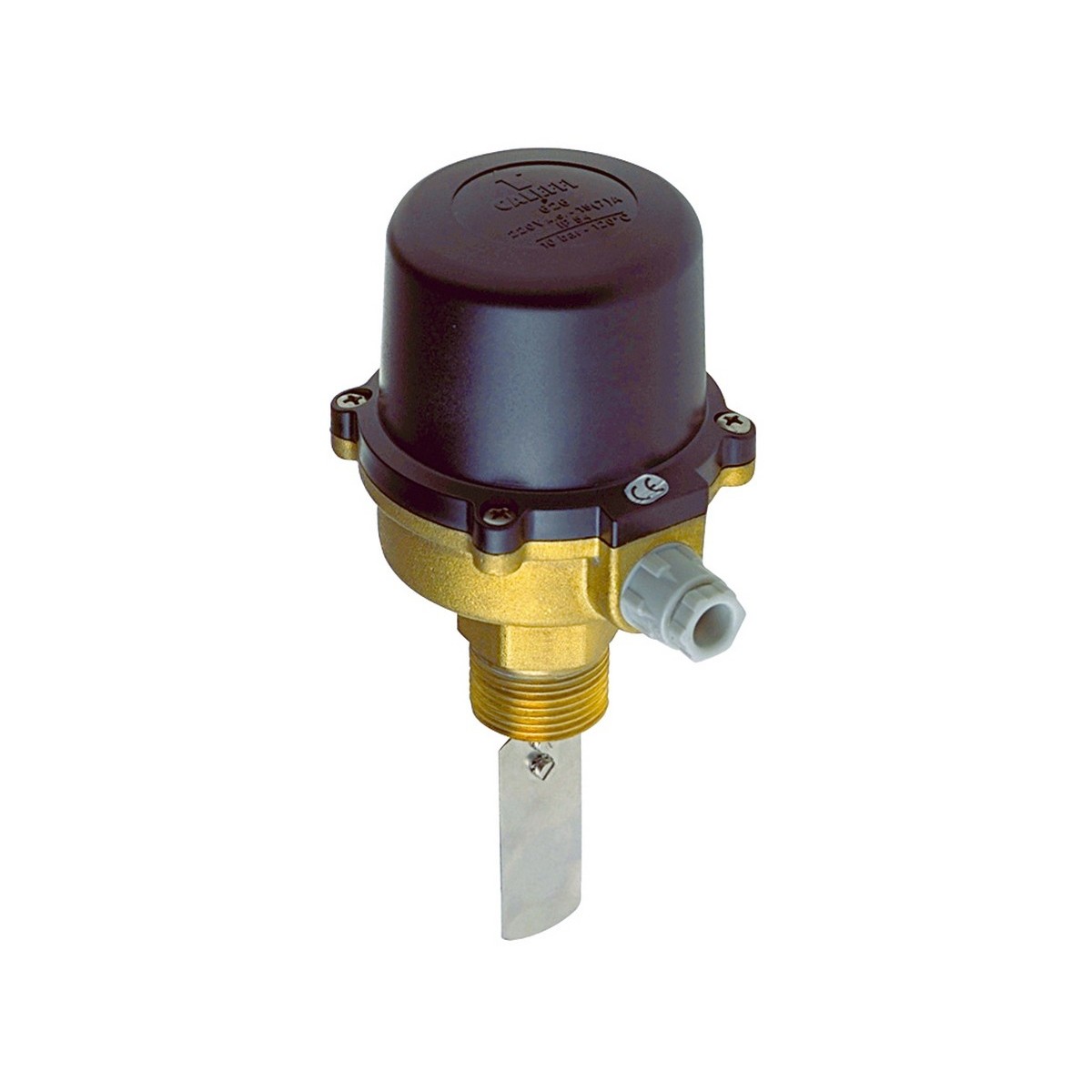 Contrôleur de débit à palette FLUSSOSTAT chauffage et ECS 1" mâle 10 bar -30/120 °C - THERMADOR FLUS 
