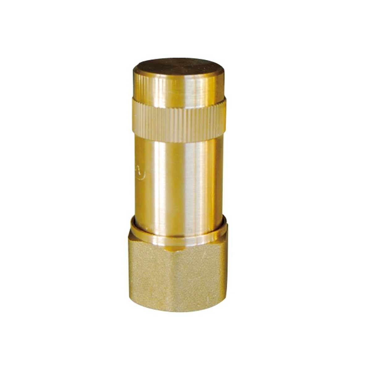 Anti-bélier à ressort femelle 1"1/2 en laiton certifié ACS prégonflé 3,5 bar - THERMADOR ABR40 