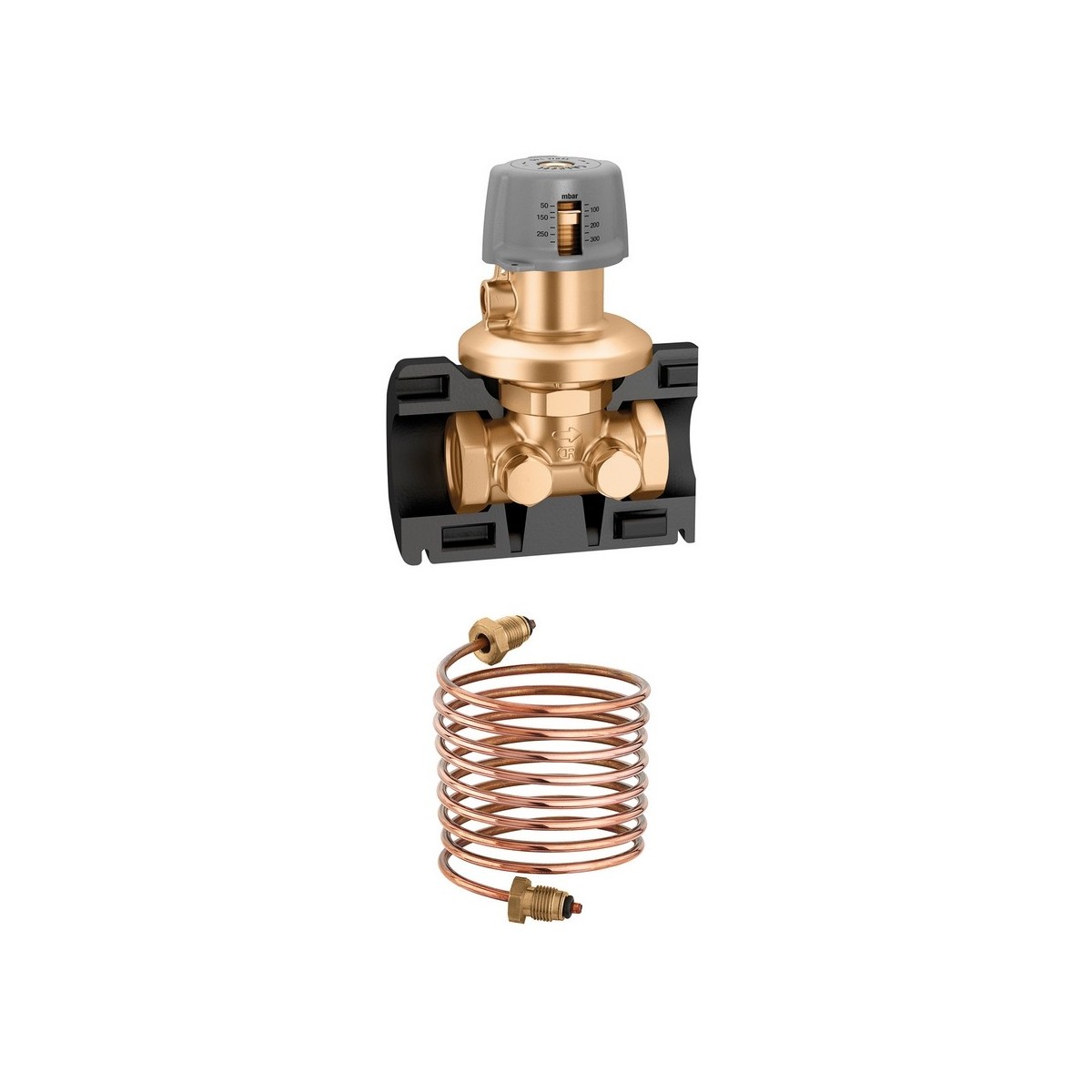 Régulateur de pression différentielle 2" 50-300 mbar - THERMADOR 140392 