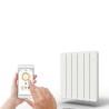 Radiateur Fonte APPLIMO Smart ECOControl 1000W Plinthe - 0011963SE (haut. 300)