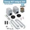 Energy Kit Intégral 24V FAAC (391) Motorisation portail 2 battants - 104575144