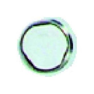 Boit visiere saillie p/7771/4 - URMET 516