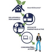 Radiateur electrique Fonte APPLIMO - SOLEIDOU Smart ECOcontrol 2000W Vertical Anthracite 0013767SEHS