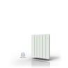 Radiateur Fonte PEGASE Smart ECOControl Horizontal APPLIMO
