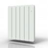 Radiateur Fonte PEGASE Smart ECOControl Horizontal APPLIMO