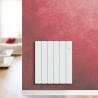 Radiateur Fonte PEGASE Smart ECOControl Horizontal APPLIMO