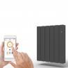 Radiateur Fonte PEGASE Smart ECOControl Horizontal APPLIMO