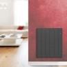 Radiateur Fonte PEGASE Smart ECOControl Horizontal APPLIMO