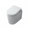 Toilette lavante - IN WASH Inspira suspendue blanc - ROCA A803060001