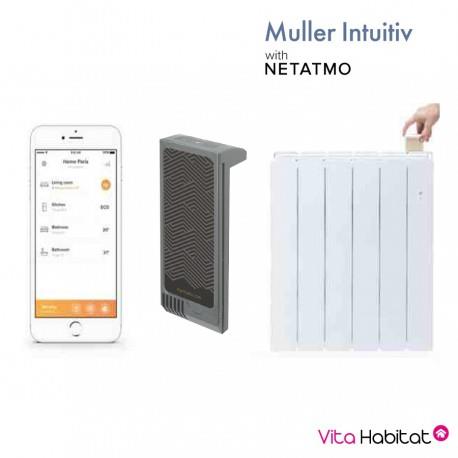 Module Muller Intuitiv with Netatmo Gris - APPLIMO - NEN9241AAHS