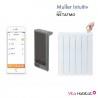 Module Muller Intuitiv with Netatmo Gris - APPLIMO - NEN9241AAHS