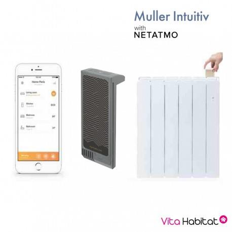 Module Muller Intuitiv with Netatmo Gris - AIRELEC - NEN9241AAHS