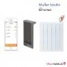 Module Muller Intuitiv with Netatmo Gris - AIRELEC - NEN9241AAHS