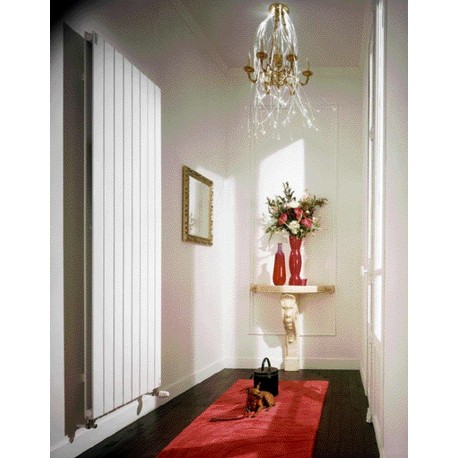 Radiateur chauffage central ACOVA - FASSANE Vertical double 1309W HXD-160-051