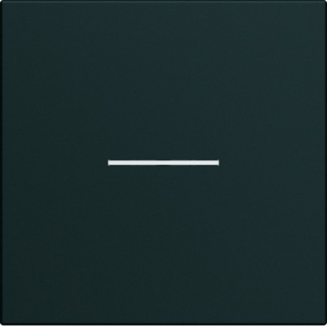 Enjoliveur interrupteur à voyant 2 modules night GALLERY HAGER WXD001N