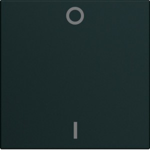 Enjo inter marqu. 0-1 2M night - APPAREILLAGE MURAL GALLERY HAGER WXD004N