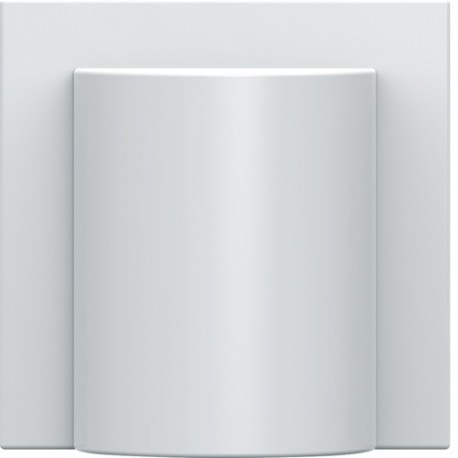 Enjoliveur sortie de cable pure GALLERY HAGER WXD155B