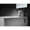 W+W Cuvette de WC et lavabo deux en un - ROCA A893020001