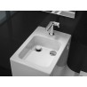 W+W Cuvette de WC et lavabo deux en un - ROCA A893020001