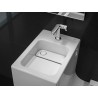 W+W Cuvette de WC et lavabo deux en un - ROCA A893020001