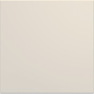 Obturateur 2 modules dune - APPAREILLAGE MURAL GALLERY HAGER WXF689D