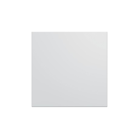 Obturateur 2 modules pure - APPAREILLAGE MURAL GALLERY HAGER WXF689B