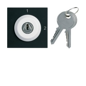 Inter clé 2 posi. 2M night - APPAREILLAGE MURAL GALLERY HAGER WXF615N