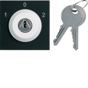 Inter clé 3 posi. 2M night - APPAREILLAGE MURAL GALLERY HAGER WXF616N