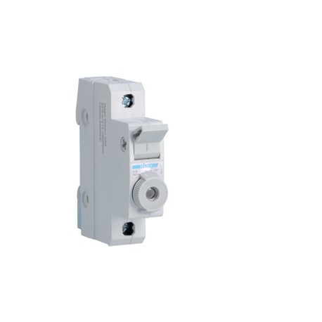 P-Fusible combi 1P 20A L38 1M - COMMANDE SIGNAL  HAGER L95100