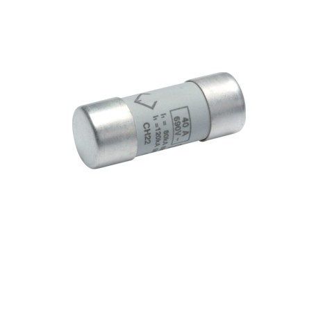 Cartouche fus.22x58 gG 40A -   HAGER LF540G