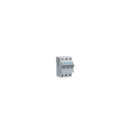 Disj.mag.2P 25kA 10A 3m - DISJONCTEURS MULTI. HAGER MMN310