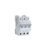 Disj.mag.2P 20kA 20A 3m - DISJONCTEURS MULTI.  HAGER MMN320