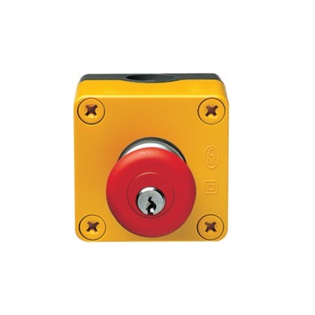 Bouton ATU coup de poing à clé - DISJONCTEURS MULTI.  HAGER MZ531N