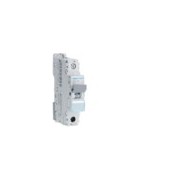 Disj.1P 6-10kA B-25A 1m - DISJONCTEURS MULTI.  HAGER NEN125