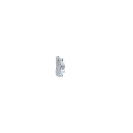 Disj.1P+N 6-10kA C-25A 1m - DISJONCTEURS PH+N  HAGER NFT725