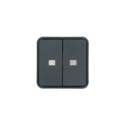 Cubyko 2 t. KNX à voyants gris - APPAREILLAGE MURAL  HAGER WNT954