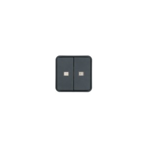 Cubyko 2 t. KNX à voyants gris - APPAREILLAGE MURAL  HAGER WNT954
