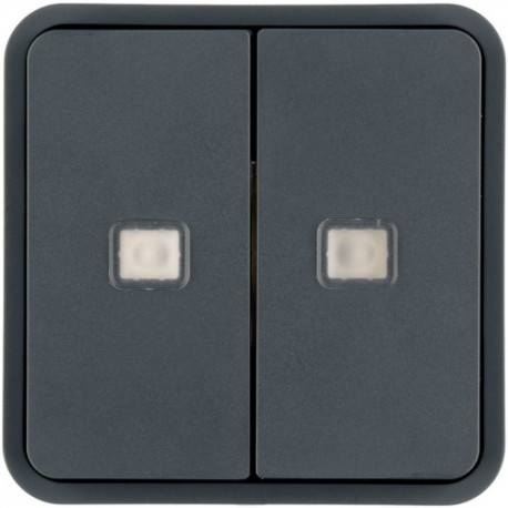 Cubyko 2 t. KNX à voyants gris - APPAREILLAGE MURAL  HAGER WNT954