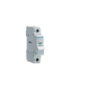 Interrupteur 1P 100A - COMMANDE SIGNAL  HAGER SBN190