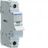Interrupteur 1P 100A - COMMANDE SIGNAL HAGER SBN190
