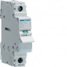 Interrupteur 1P 100A - COMMANDE SIGNAL HAGER SBN190