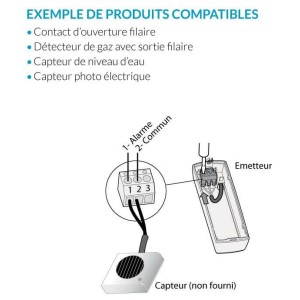 Détecteur universel Radio - DU TYXAL+ Delta Dore 6412302