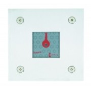 B/lec starlec boit inox p/cag2 - URMET LEC/2HFP/B