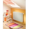 Radiateur eau chaude ACOVA CLARIAN Horizontal double